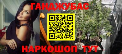 прущие грибы Севастополь