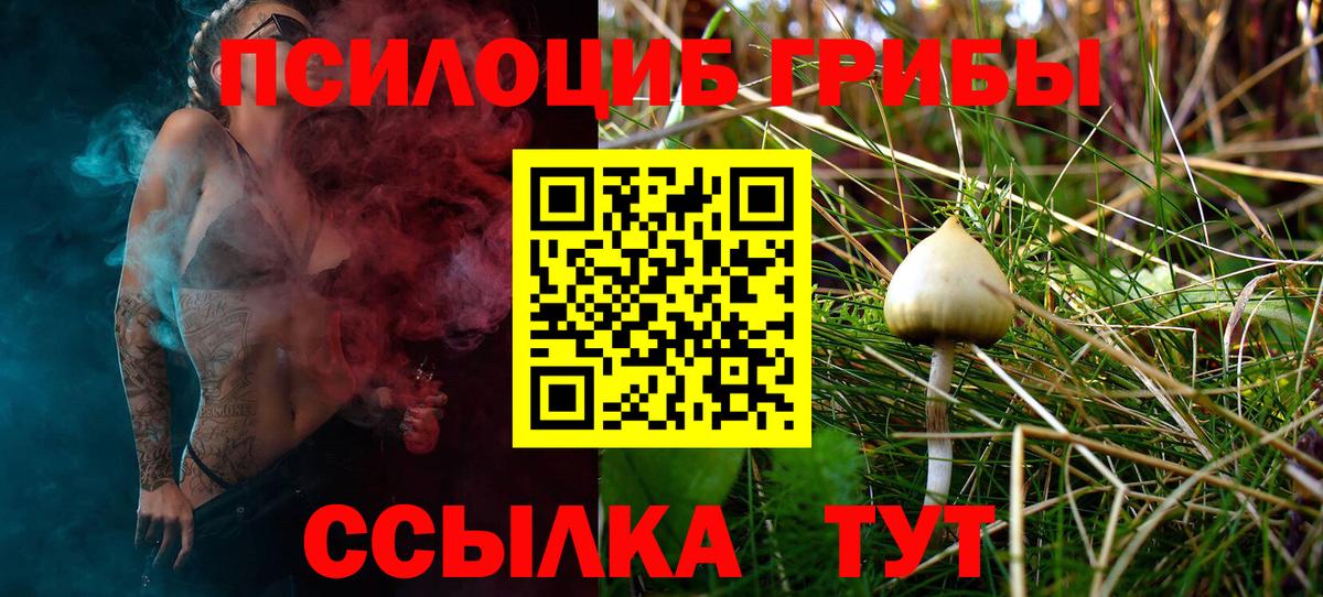 Галлюциногенные грибы Cubensis Сатка