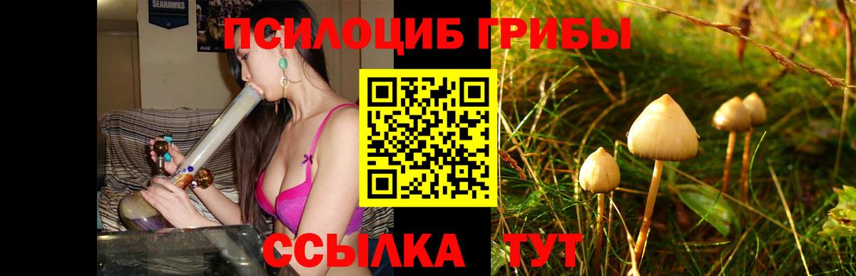 Псилоцибиновые грибы Magic Shrooms  Вход с VPN  Сатка 